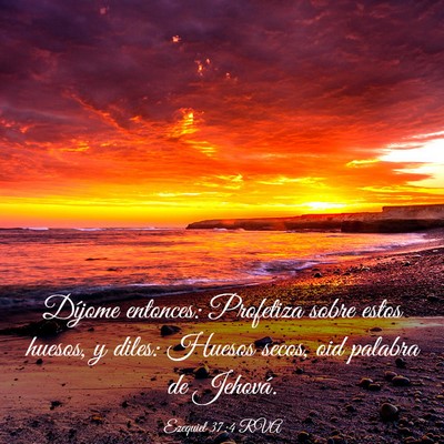 Picture 03 - Ezequiel 37:4 RVA - Díjome entonces: Profetiza sobre estos huesos, y - Bible Verse Picture