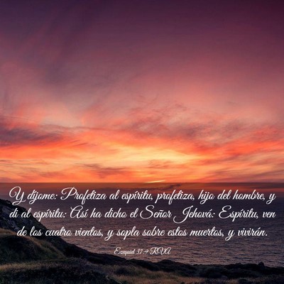 Picture 03 - Ezequiel 37:9 RVA - Y díjome: Profetiza al espíritu, profetiza, - Bible Verse Picture