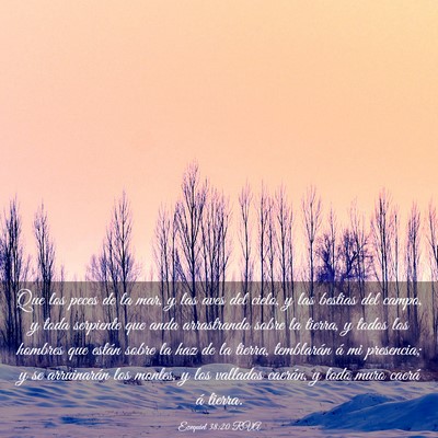 Picture 03 - Ezequiel 38:20 RVA - Que los peces de la mar, y las aves del cielo, y - Bible Verse Picture