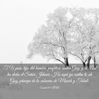 Picture 03 - Ezequiel 39:1 RVA - TU pues, hijo del hombre, profetiza contra Gog, y - Bible Verse Picture