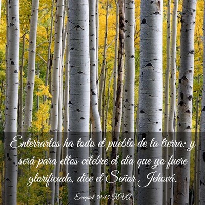 Picture 03 - Ezequiel 39:13 RVA - Enterrarlos ha todo el pueblo de la tierra: y - Bible Verse Picture