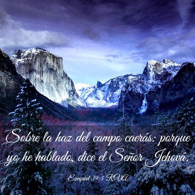 Picture 03 - Ezequiel 39:5 RVA - Sobre la haz del campo caerás: porque yo he - Bible Verse Picture