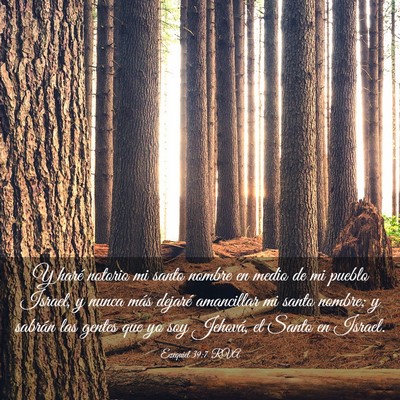 Picture 03 - Ezequiel 39:7 RVA - Y haré notorio mi santo nombre en medio de mi - Bible Verse Picture