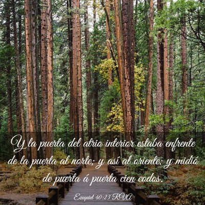 Picture 03 - Ezequiel 40:23 RVA - Y la puerta del atrio interior estaba enfrente de - Bible Verse Picture