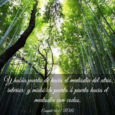 Picture 03 - Ezequiel 40:27 RVA - Y había puerta de hacia el mediodía del atrio - Bible Verse Picture