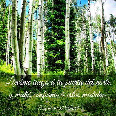 Picture 03 - Ezequiel 40:35 RVA - Llevóme luego á la puerta del norte, y midió - Bible Verse Picture