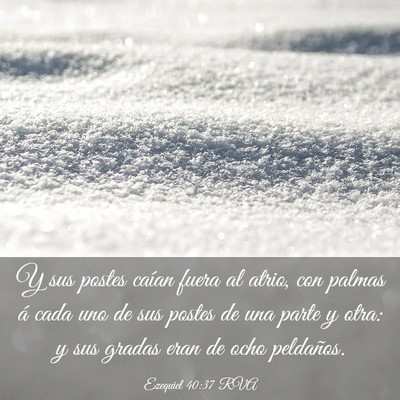 Picture 03 - Ezequiel 40:37 RVA - Y sus postes caían fuera al atrio, con palmas á - Bible Verse Picture