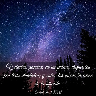 Picture 03 - Ezequiel 40:43 RVA - Y dentro, ganchos de un palmo, dispuestos por - Bible Verse Picture