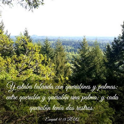 Picture 03 - Ezequiel 41:18 RVA - Y estaba labrada con querubines y palmas: entre - Bible Verse Picture