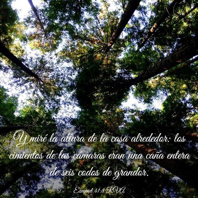 Picture 03 - Ezequiel 41:8 RVA - Y miré la altura de la casa alrededor: los - Bible Verse Picture