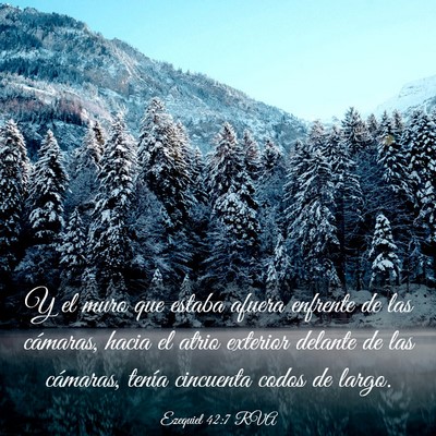 Picture 03 - Ezequiel 42:7 RVA - Y el muro que estaba afuera enfrente de las - Bible Verse Picture
