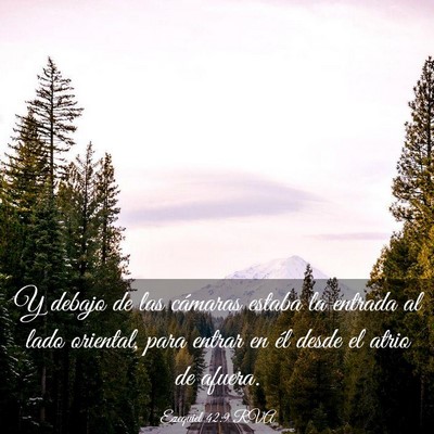 Picture 03 - Ezequiel 42:9 RVA - Y debajo de las cámaras estaba la entrada al - Bible Verse Picture