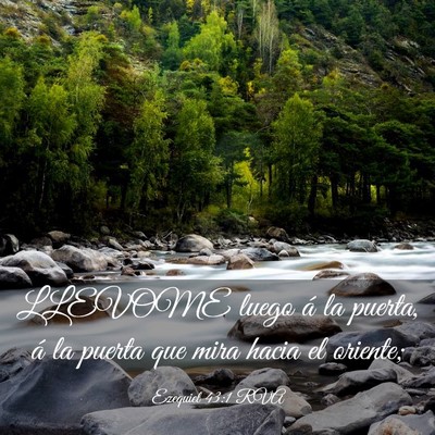 Picture 03 - Ezequiel 43:1 RVA - LLEVOME luego á la puerta, á la puerta que mira - Bible Verse Picture