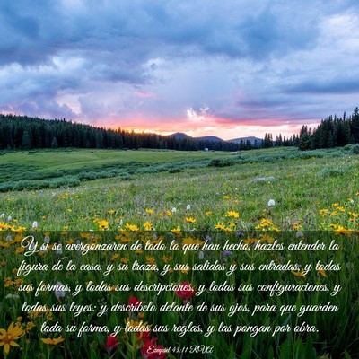 Picture 03 - Ezequiel 43:11 RVA - Y si se avergonzaren de todo lo que han hecho, - Bible Verse Picture
