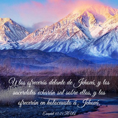 Picture 03 - Ezequiel 43:24 RVA - Y los ofrecerás delante de Jehová, y los - Bible Verse Picture