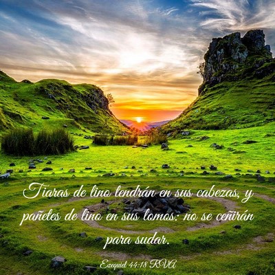 Picture 03 - Ezequiel 44:18 RVA - Tiaras de lino tendrán en sus cabezas, y - Bible Verse Picture