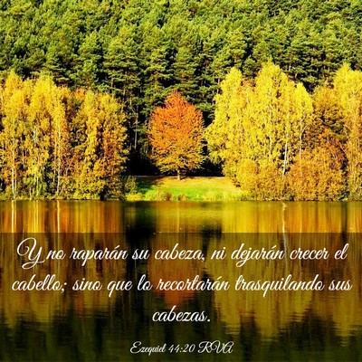 Picture 03 - Ezequiel 44:20 RVA - Y no raparán su cabeza, ni dejarán crecer el - Bible Verse Picture