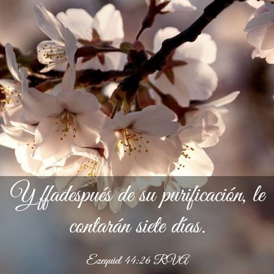Picture 03 - Ezequiel 44:26 RVA - Y ffadespués de su purificación, le contarán - Bible Verse Picture