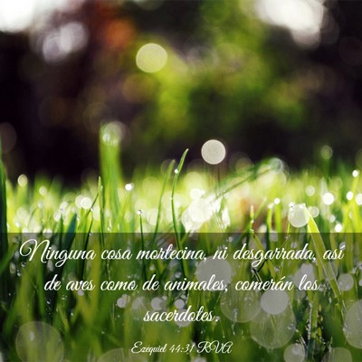 Picture 03 - Ezequiel 44:31 RVA - Ninguna cosa mortecina, ni desgarrada, así de - Bible Verse Picture