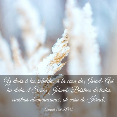 Picture 03 - Ezequiel 44:6 RVA - Y dirás á los rebeldes, á la casa de Israel: - Bible Verse Picture