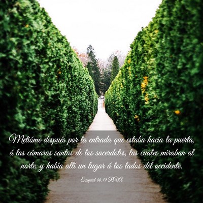 Picture 03 - Ezequiel 46:19 RVA - Metióme después por la entrada que estaba hacia - Bible Verse Picture