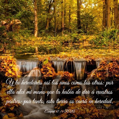 Picture 03 - Ezequiel 47:14 RVA - Y la heredaréis así los unos como los otros: - Bible Verse Picture