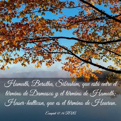 Picture 03 - Ezequiel 47:16 RVA - Hamath, Berotha, Sibrahim, que está entre el - Bible Verse Picture