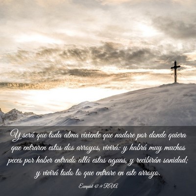 Picture 03 - Ezequiel 47:9 RVA - Y será que toda alma viviente que nadare por - Bible Verse Picture