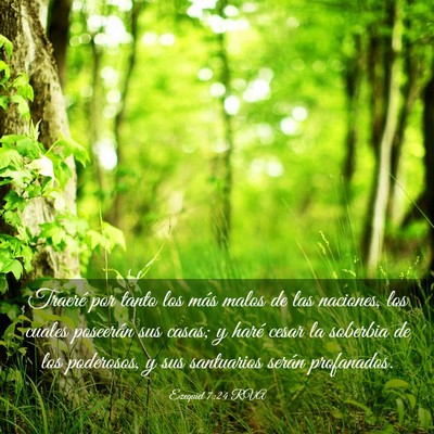 Picture 03 - Ezequiel 7:24 RVA - Traeré por tanto los más malos de las naciones, - Bible Verse Picture