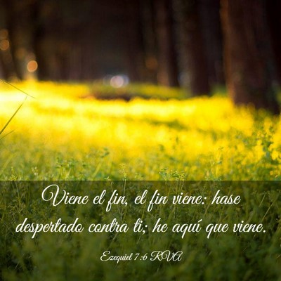 Picture 03 - Ezequiel 7:6 RVA - Viene el fin, el fin viene: hase despertado - Bible Verse Picture