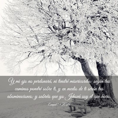 Picture 03 - Ezequiel 7:9 RVA - Y mi ojo no perdonará, ni tendré misericordia: - Bible Verse Picture
