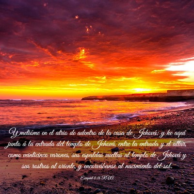 Picture 03 - Ezequiel 8:16 RVA - Y metióme en el atrio de adentro de la casa de - Bible Verse Picture