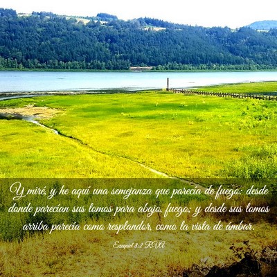 Picture 03 - Ezequiel 8:2 RVA - Y miré, y he aquí una semejanza que parecía de - Bible Verse Picture