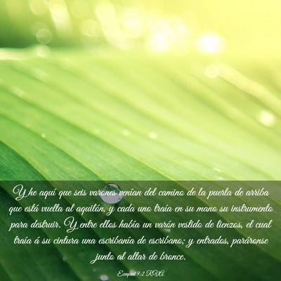 Picture 03 - Ezequiel 9:2 RVA - Y he aquí que seis varones venían del camino de - Bible Verse Picture
