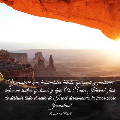 Picture 03 - Ezequiel 9:8 RVA - Y aconteció que, habiéndolos herido, yo quedé - Bible Verse Picture