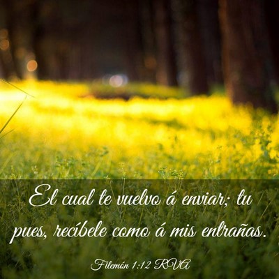 Picture 03 - Filemón 1:12 RVA - El cual te vuelvo á enviar; tu pues, recíbele - Bible Verse Picture