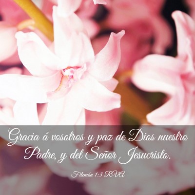 Picture 03 - Filemón 1:3 RVA - Gracia á vosotros y paz de Dios nuestro Padre, y - Bible Verse Picture