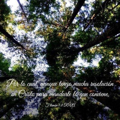 Picture 03 - Filemón 1:8 RVA - Por lo cual, aunque tengo mucha resolución en - Bible Verse Picture