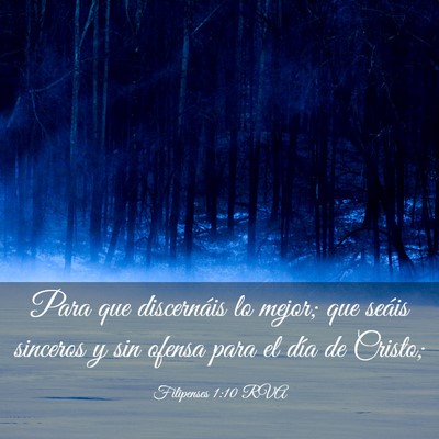 Picture 03 - Filipenses 1:10 RVA - Para que discernáis lo mejor; que seáis - Bible Verse Picture