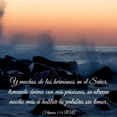 Picture 03 - Filipenses 1:14 RVA - Y muchos de los hermanos en el Señor, tomando - Bible Verse Picture