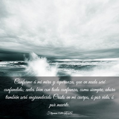 Picture 03 - Filipenses 1:20 RVA - Conforme á mi mira y esperanza, que en nada - Bible Verse Picture