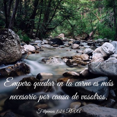 Picture 03 - Filipenses 1:24 RVA - Empero quedar en la carne es más necesario por - Bible Verse Picture