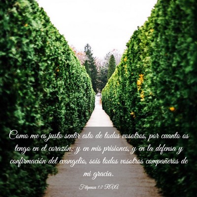 Picture 03 - Filipenses 1:7 RVA - Como me es justo sentir esto de todos vosotros, - Bible Verse Picture