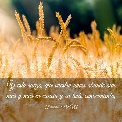 Picture 03 - Filipenses 1:9 RVA - Y esto ruego, que vuestro amor abunde aun más y - Bible Verse Picture