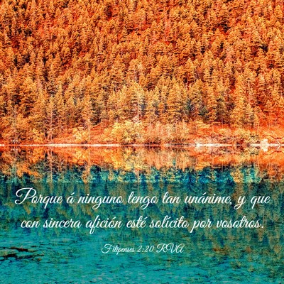 Picture 03 - Filipenses 2:20 RVA - Porque á ninguno tengo tan unánime, y que con - Bible Verse Picture