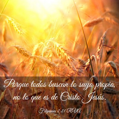 Picture 03 - Filipenses 2:21 RVA - Porque todos buscan lo suyo propio, no lo que es - Bible Verse Picture