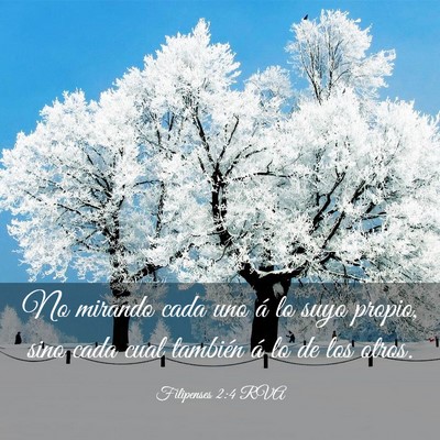 Picture 03 - Filipenses 2:4 RVA - No mirando cada uno á lo suyo propio, sino cada - Bible Verse Picture