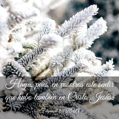 Picture 03 - Filipenses 2:5 RVA - Haya, pues, en vosotros este sentir que hubo - Bible Verse Picture