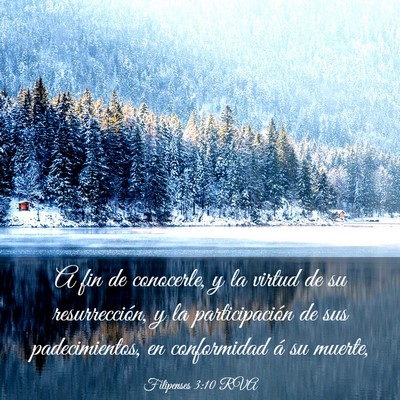 Picture 03 - Filipenses 3:10 RVA - A fin de conocerle, y la virtud de su - Bible Verse Picture