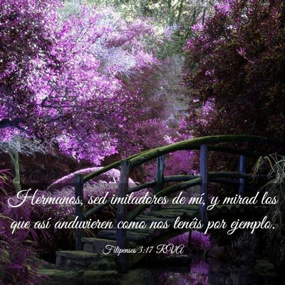 Picture 03 - Filipenses 3:17 RVA - Hermanos, sed imitadores de mí, y mirad los que - Bible Verse Picture